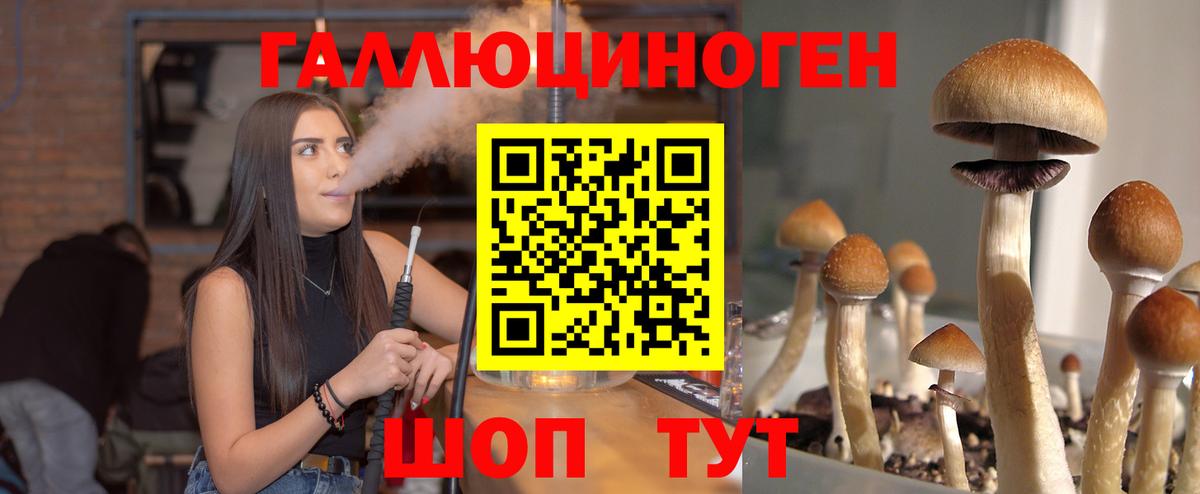 Галлюциногенные грибы прущие грибы  Вход с VPN  Гулькевичи 