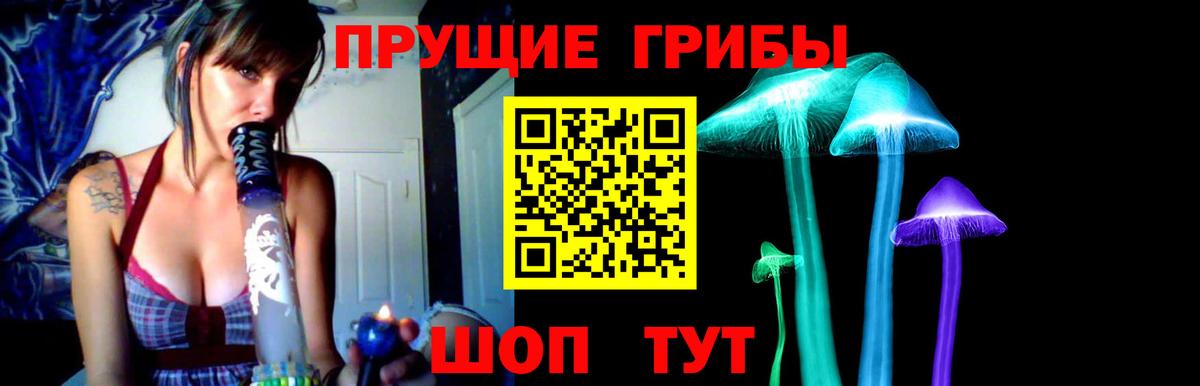 Галлюциногенные грибы прущие грибы Гулькевичи